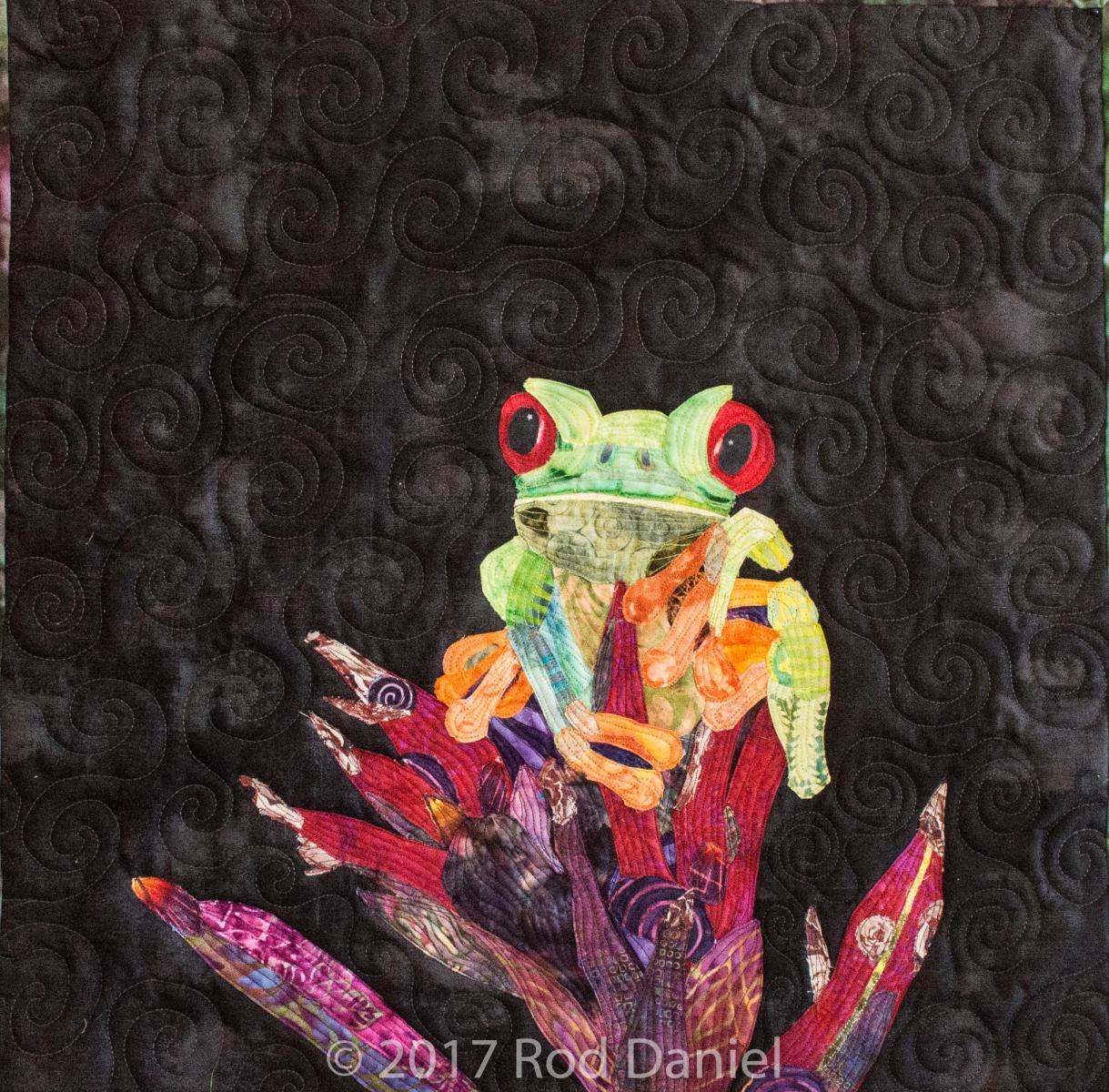 "Red Eye Tree Frog"  23" x 23"  $500
